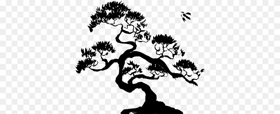 Bonsai Tree Silhouette, Gray Free Transparent Png