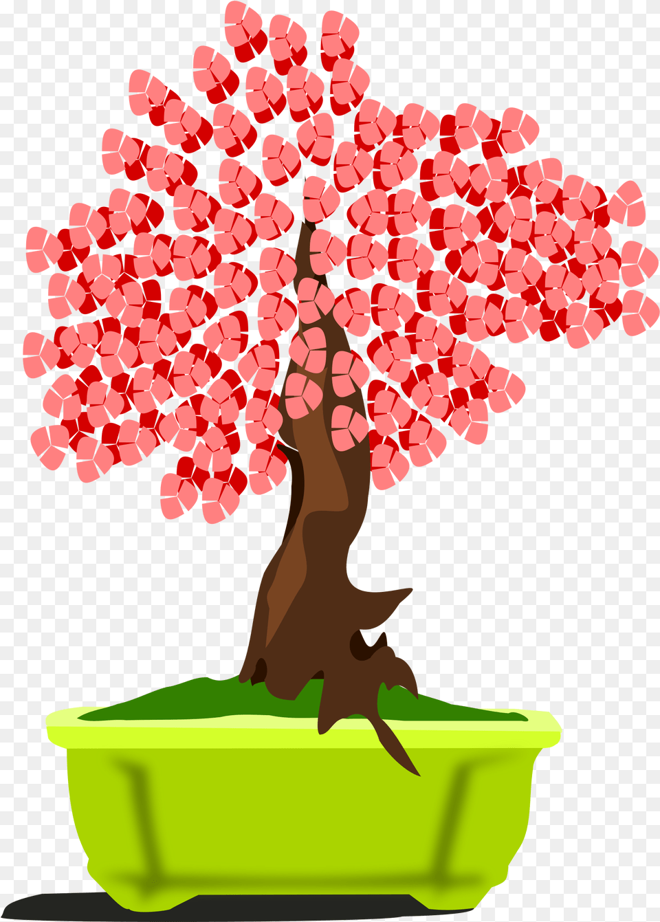 Bonsai Tree This Icons Design Of Bonsai13 Bonsai, Plant, Potted Plant, Flower, Maple Free Transparent Png