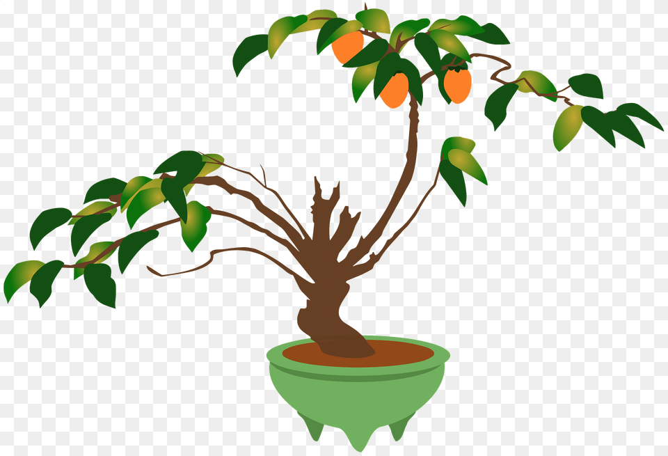 Bonsai Tree With Orange Blossoms In A Green Pot Clipart, Leaf, Plant, Potted Plant, Food Free Png