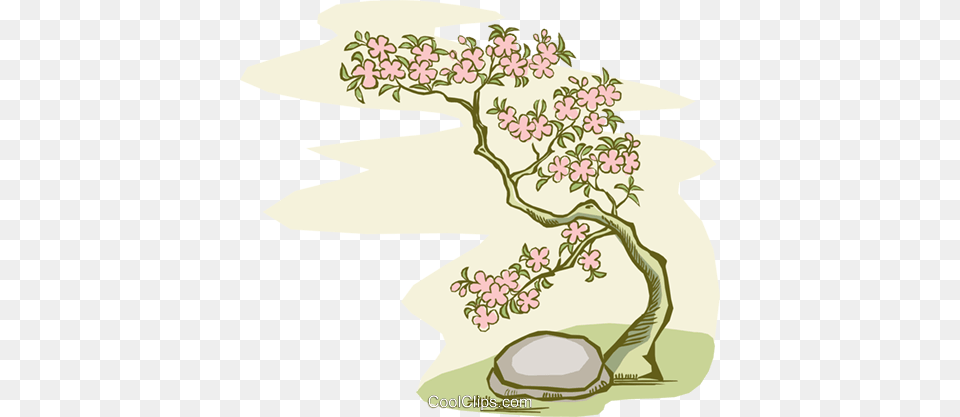 Bonsai Tree With Stone Royalty Free Vector Clip Art Cherry Blossom Tree Clip Art, Flower, Graphics, Plant, Cherry Blossom Png Image