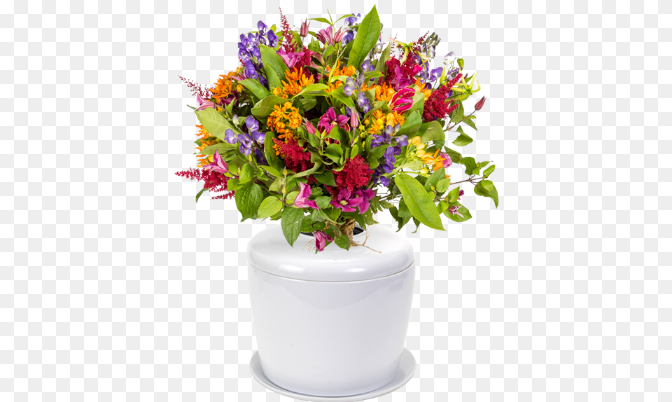 Bonsai Urn Ceramic Cremation Urn For A Bonsai Tree Bouquet, Flower, Flower Arrangement, Flower Bouquet, Plant Free Png Download