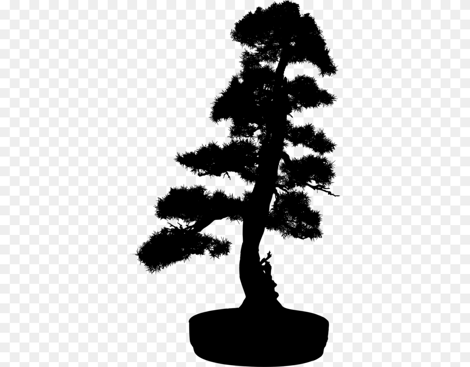 Bonsaipine Familyplant Silhouette Bonsai Tree, Gray Png Image