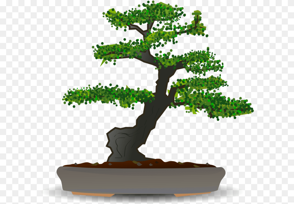 Bonsaiplanthouseplant Bonsai Tree Vector, Plant, Potted Plant Free Png