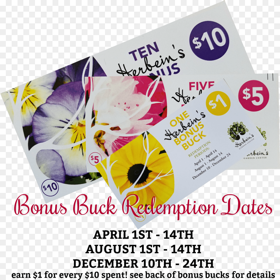 Bonus Bucks Redemption Dates Herbeins Garden Center Viola, Advertisement, Poster, Text, Business Card Free Png