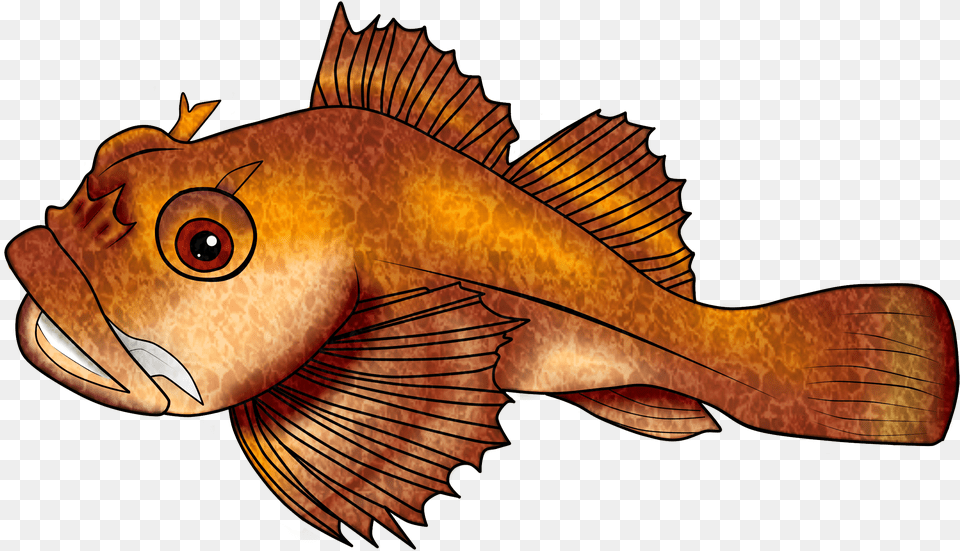 Bony Fish, Animal, Sea Life, Perch Free Png Download