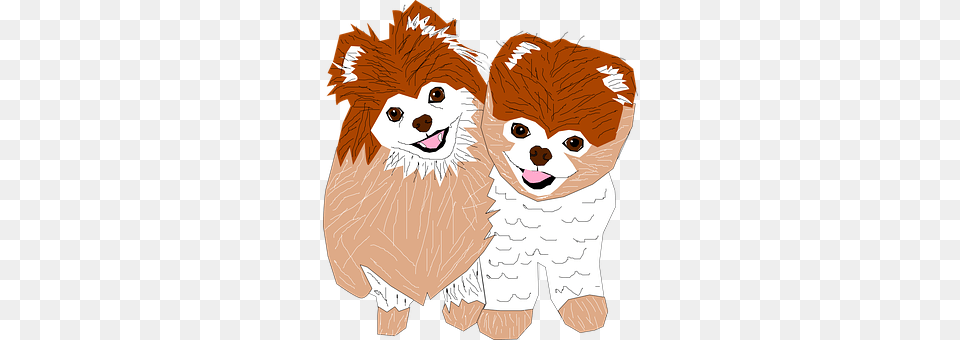 Boo Animal, Baby, Canine, Dog Free Transparent Png