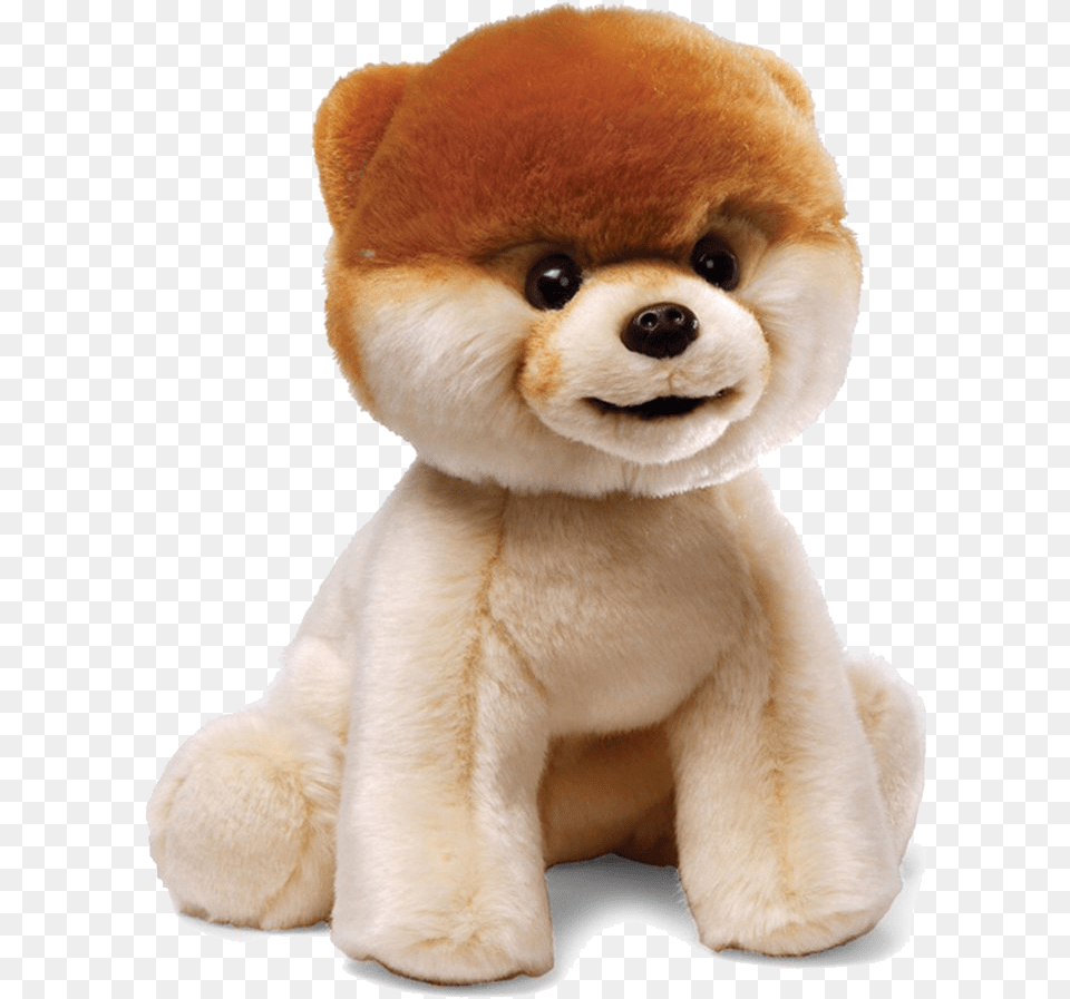 Boo Dog File Boo Stuffed Animal, Plush, Toy, Teddy Bear, Canine Free Png Download