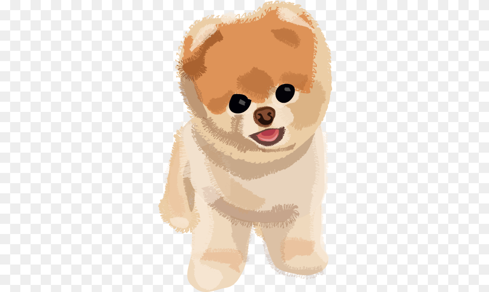 Boo Dog Transparent Image Perro, Animal, Pet, Mammal, Puppy Free Png