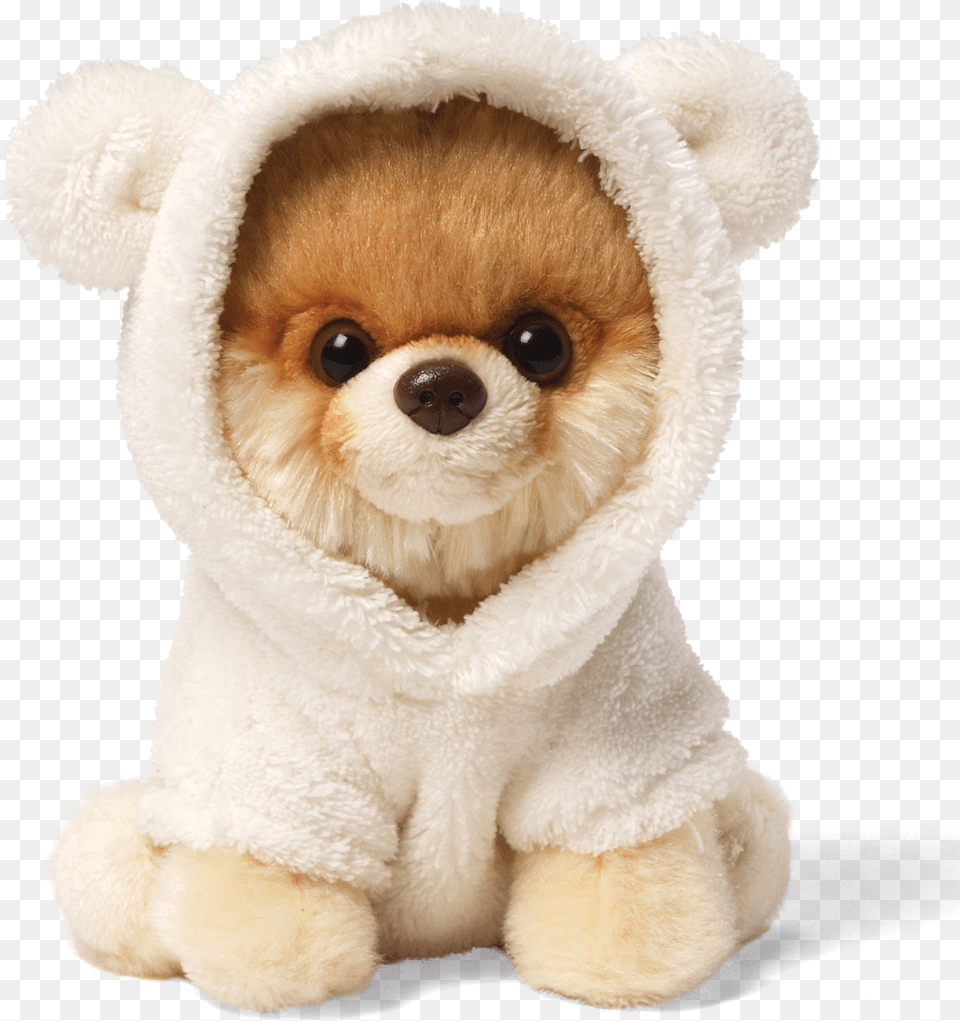 Boo The Cutest Dog In The World Dog Beds Uk Boo The Dog Toy, Animal, Canine, Mammal, Pet Png