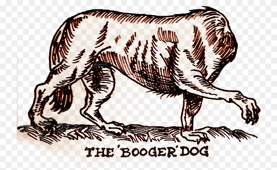Booger Dog Dog, Animal, Lion, Mammal, Wildlife Free Png Download