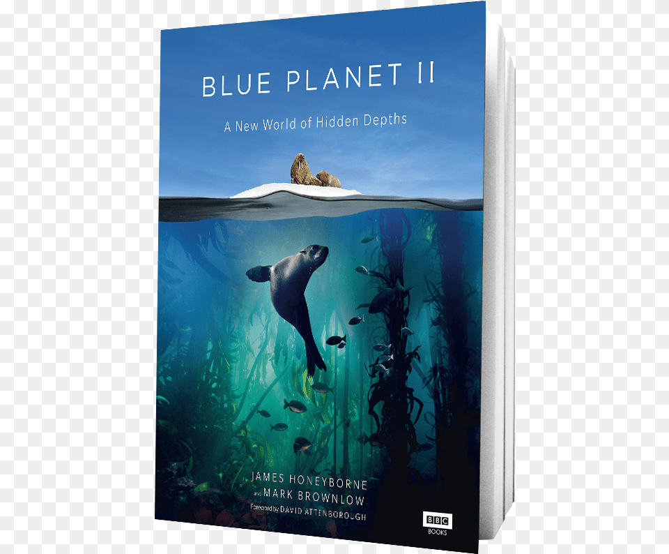 Book Blue Planet Ii On Transparent Background Blue Planet Ii, Animal, Mammal, Sea Life, Sea Lion Png Image