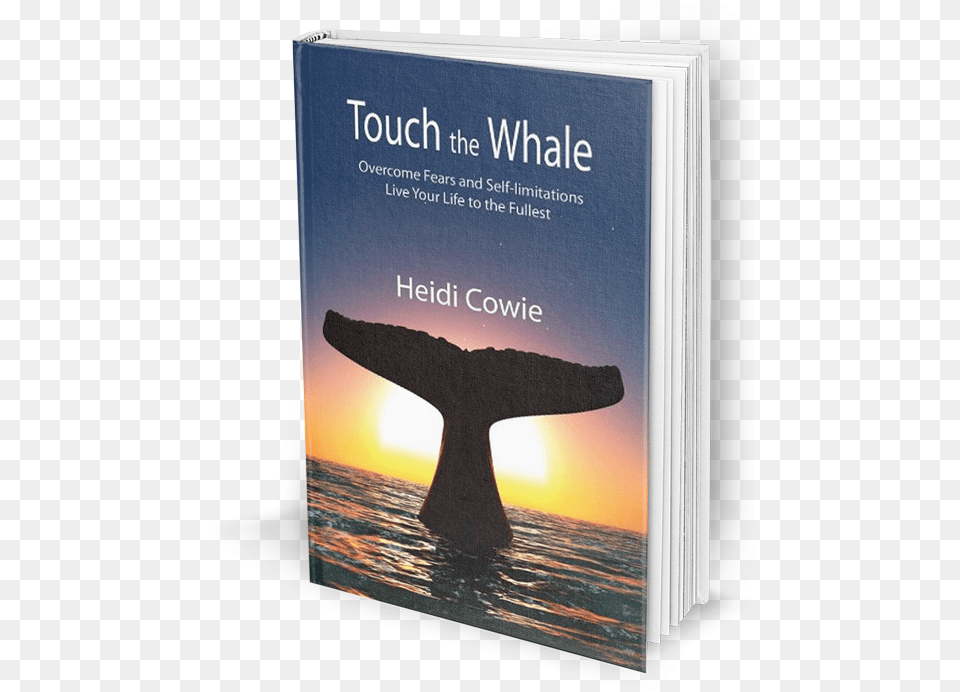 Book Cover For Heidi Cowie S Touch The Whale Showing Killer Whale, Publication, Animal, Mammal, Sea Life Png Image