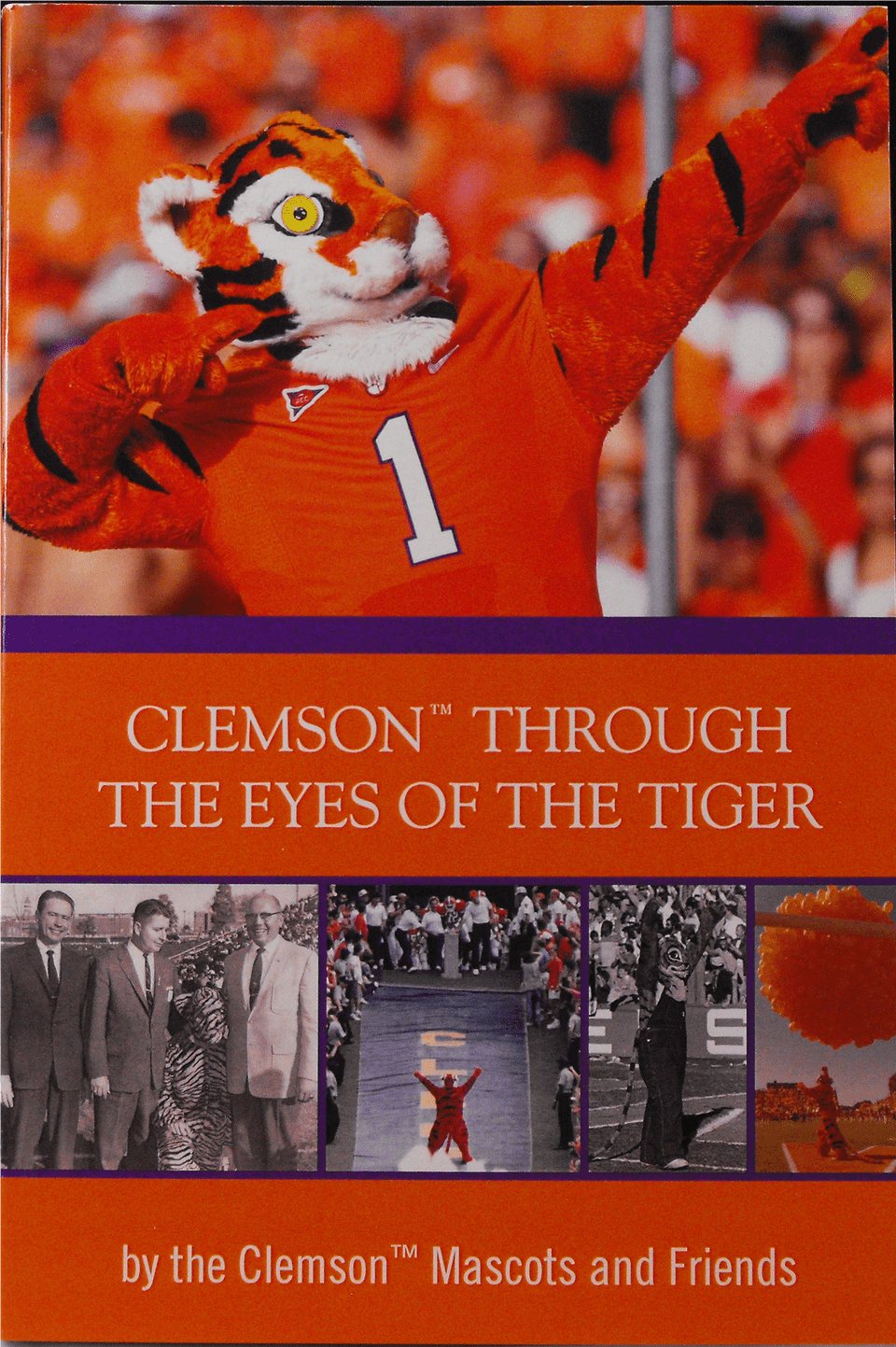 Book Eyesoftiger Png