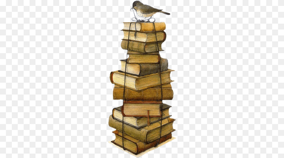 Book Nooks Otechestvennie Zapiski Ucheno Literaturnij Zhurnal, Publication, Wood, Animal, Bird Png