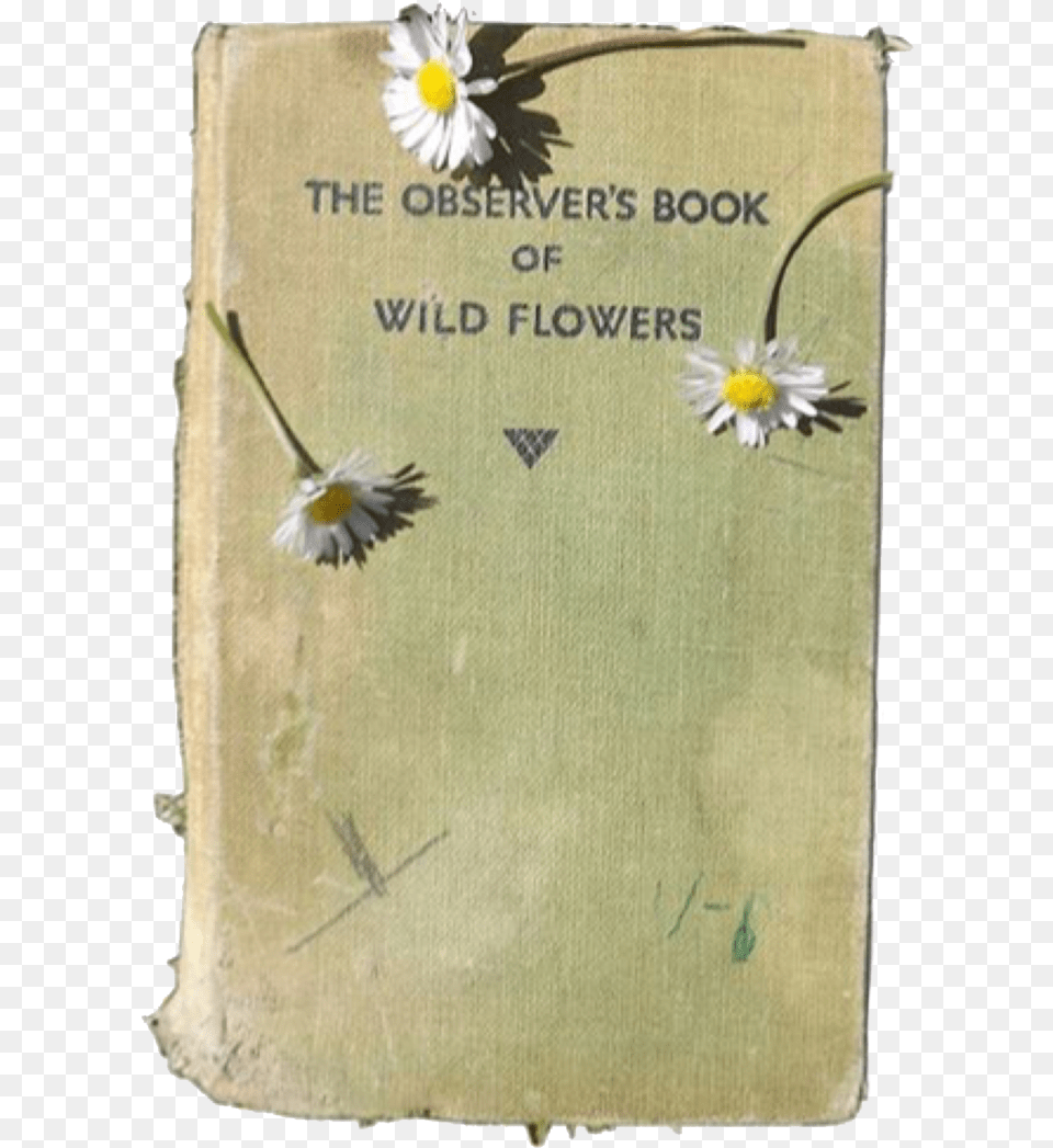 Book Of Flowers, Daisy, Flower, Plant, Publication Png