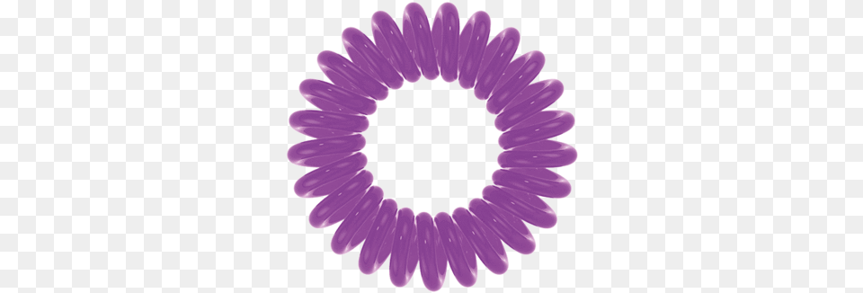 Book Today, Daisy, Flower, Plant, Purple Png Image