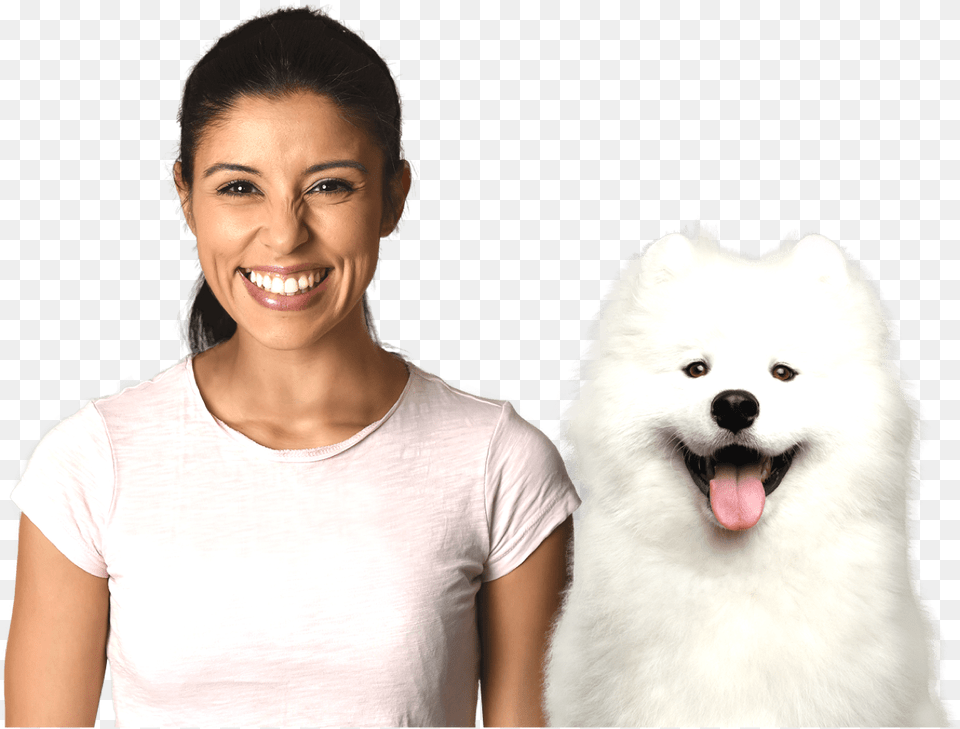 Book Trusted Dog Boarders Facial Expression, Animal, Canine, White Dog, Pet Png
