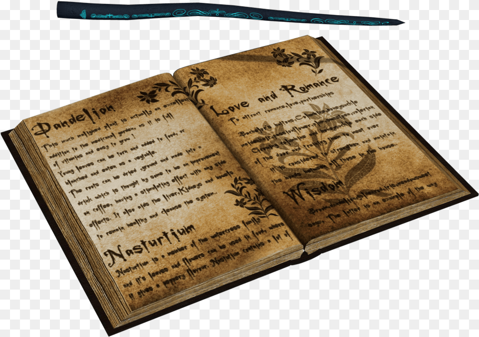 Book Vector Transparent Spell Book And Wand, Page, Publication, Text, Diary Free Png Download