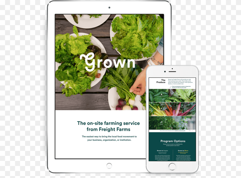 Booklet Preview Grown Comparison, Baby, Food, Lettuce, Person Free Transparent Png