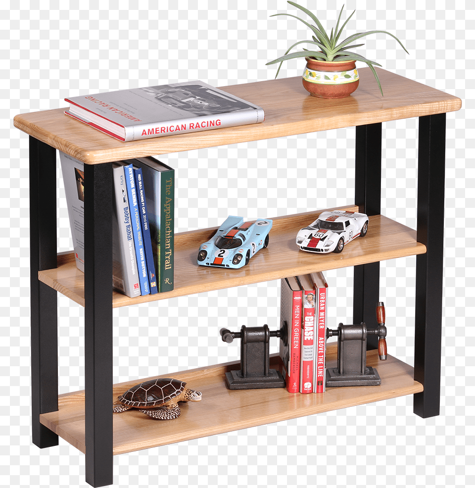 Bookshelf Table Ash Tall Book Shelf Transparent, Animal, Turtle, Sea Life, Reptile Free Png