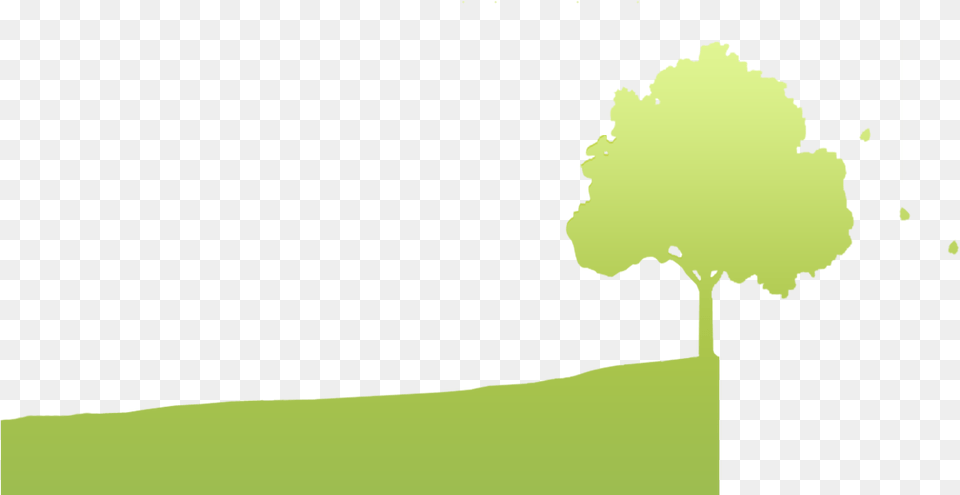 Boom, Plant, Tree, Outdoors, Face Png Image