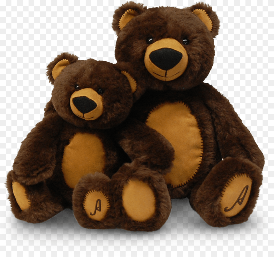Boomer Teddy Bear Brown Bear Png Image