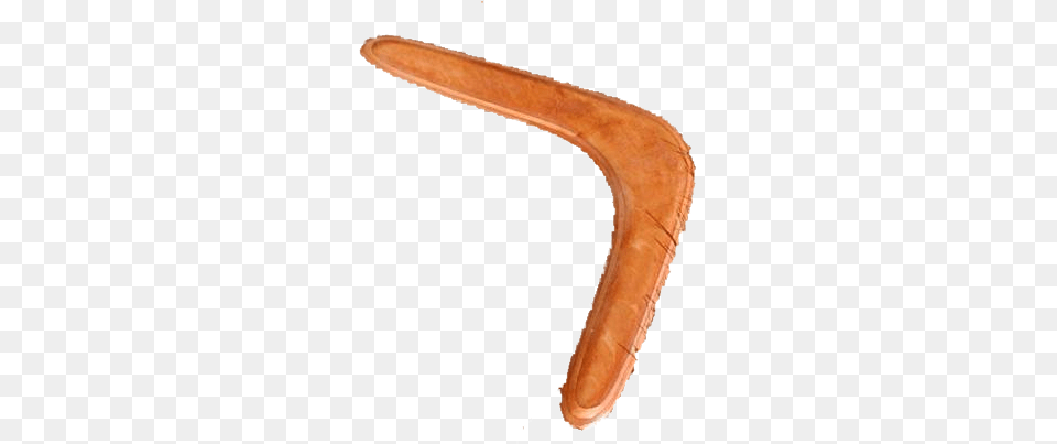 Boomerang Masked Boomerangs, Stick, Animal, Reptile, Snake Png Image