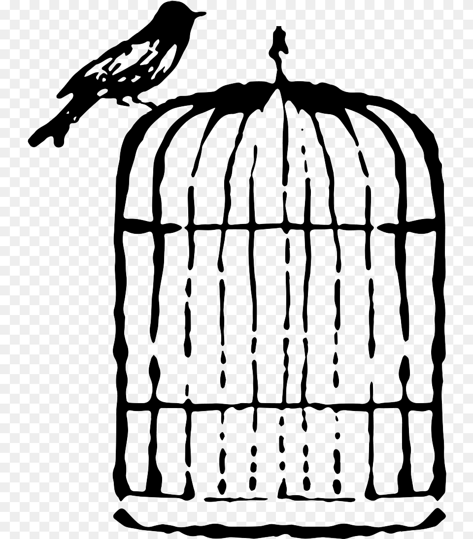 Boonsboro Historical Society Calligraphy, Cage, Device, Grass, Lawn Free Png
