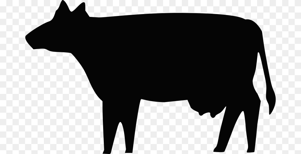 Boort Cow Silhouette, Animal, Mammal, Cattle, Livestock Png Image