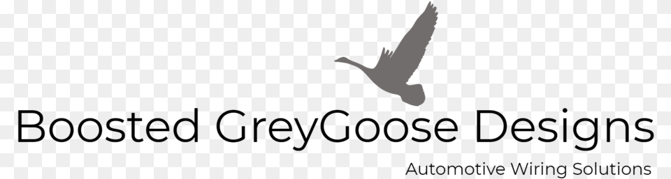 Boosted Greygoose Designs Logo, Animal, Bird, Flying, Pigeon Free Png Download