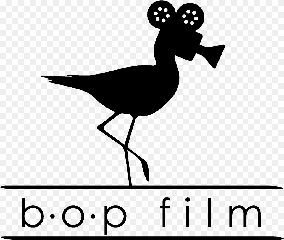 Bop Film, Gray Free Png Download