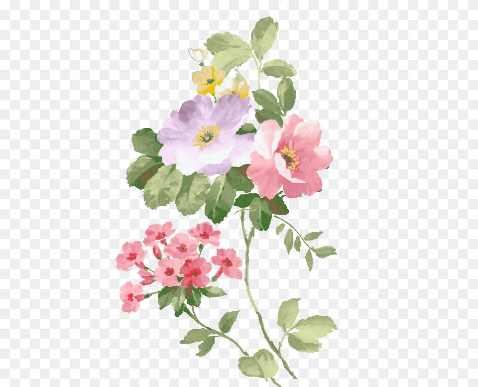 Boquet Bouquet Watercolor Watercolour Flowers Watercolor Painting, Flower, Geranium, Plant, Petal Free Transparent Png
