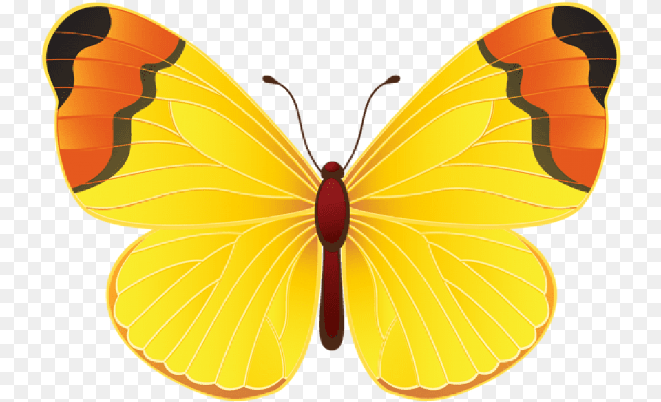 Borboleta Azul Colorida Imagens E Moldes Clipart Butterfly Yellow, Animal, Insect, Invertebrate, Moth Free Png Download