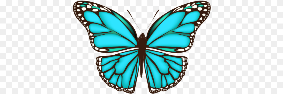 Borboleta Azul Simple Butterfly Wing Design, Animal, Insect, Invertebrate, Appliance Free Png