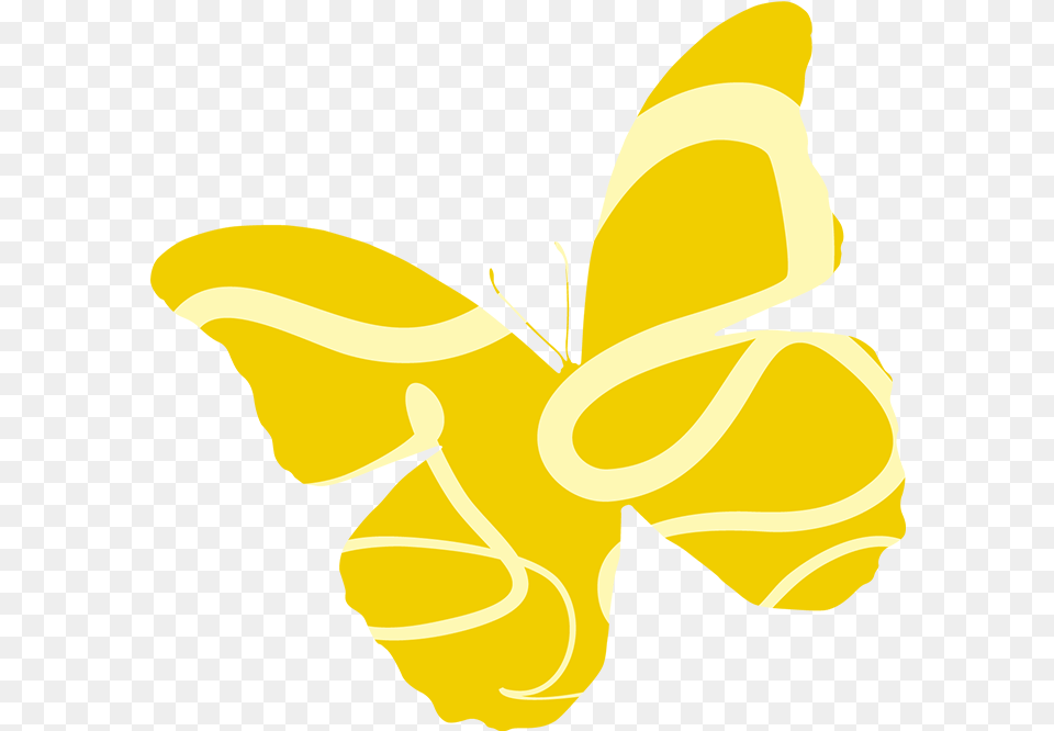Borboletas Borboleta Amarela Butterfly, Flower, Plant, Daffodil, Baby Png Image