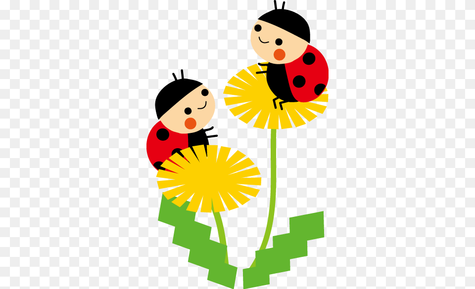 Borboletas Joaninhas E Etc Bee Ladybug Ladybug, Daisy, Flower, Plant, Person Free Png Download