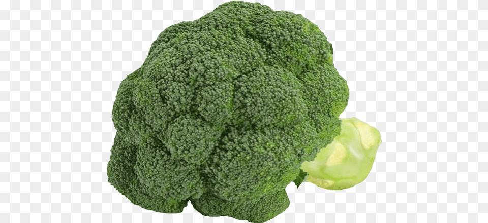 Borcole Brocoli Sur Fond Transparent Broccoli, Food, Plant, Produce, Vegetable Free Png Download