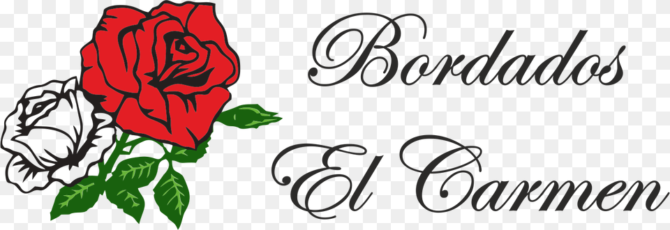 Bordados El Carmen Black And White Rose Decal, Flower, Plant, Text Png