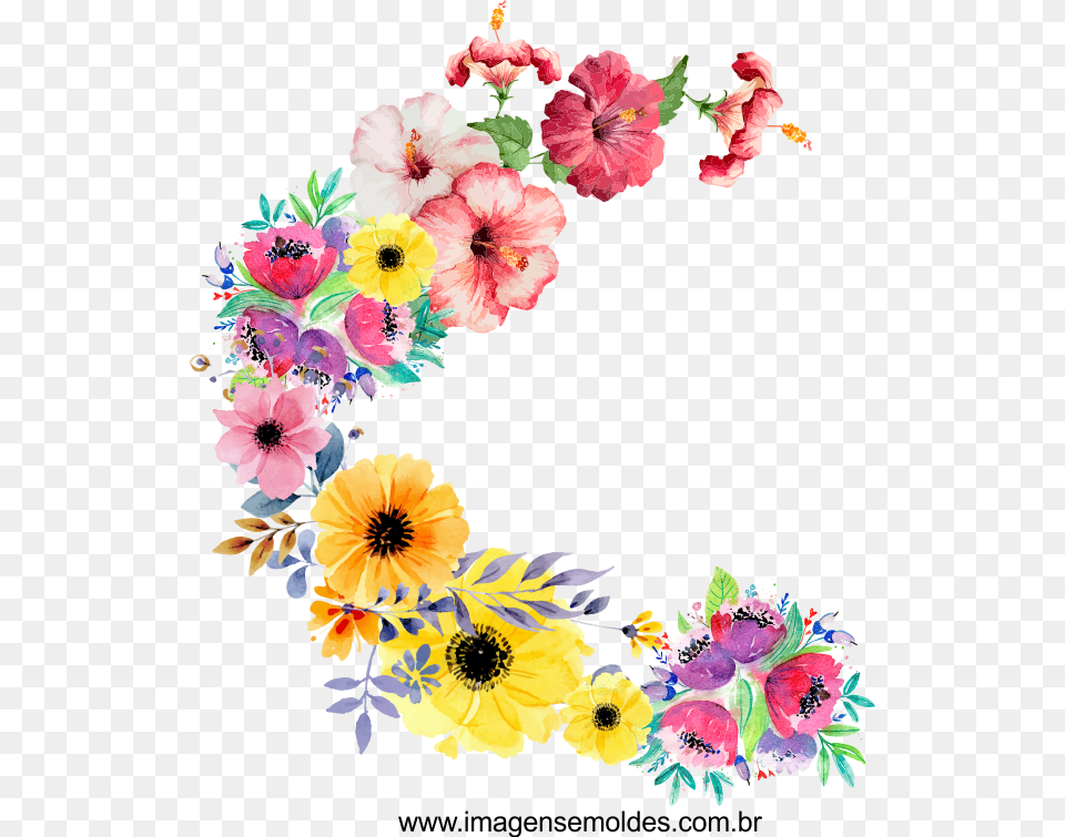 Bordas De Flores, Art, Floral Design, Flower, Graphics Png Image