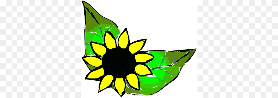 Border Flower, Plant, Sunflower, Leaf Free Png