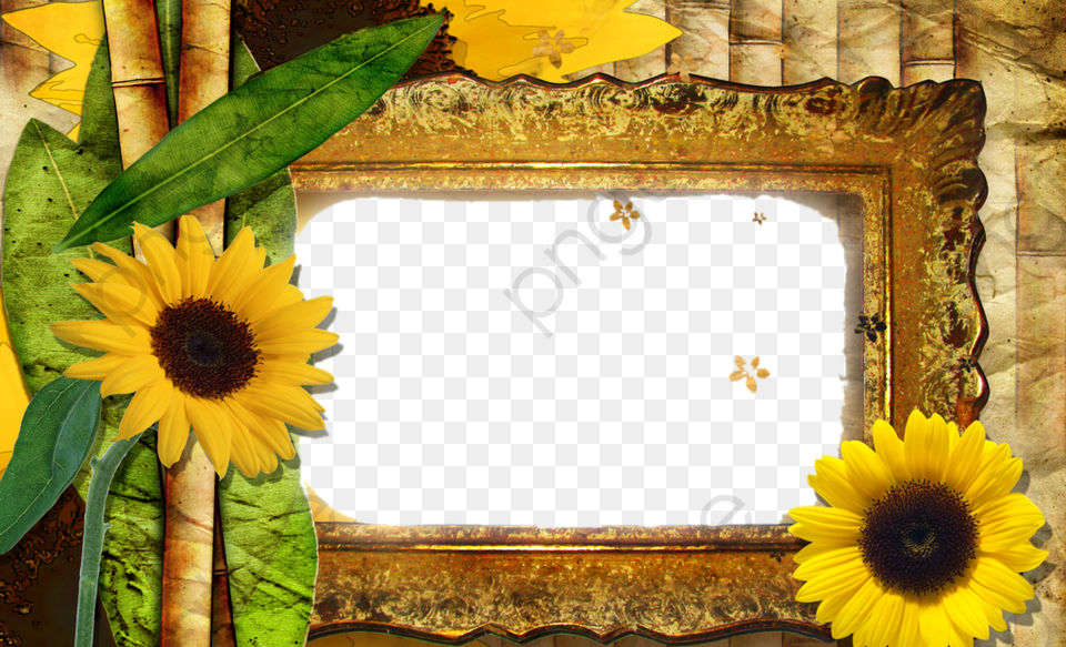 Border And Frame Sunflower, Flower, Plant, Daisy, Petal Png Image