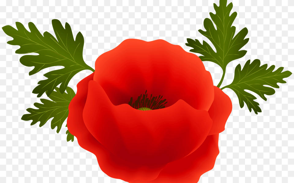 Border Clip Art Poppy Flowers Gardening Flower And Vegetables, Geranium, Plant, Rose Png Image