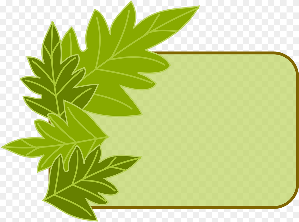Border Clipart, Green, Herbal, Herbs, Leaf Png