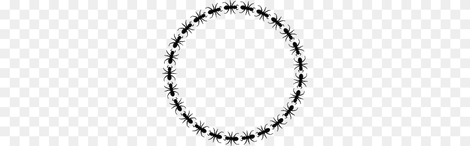 Border Clipart Png
