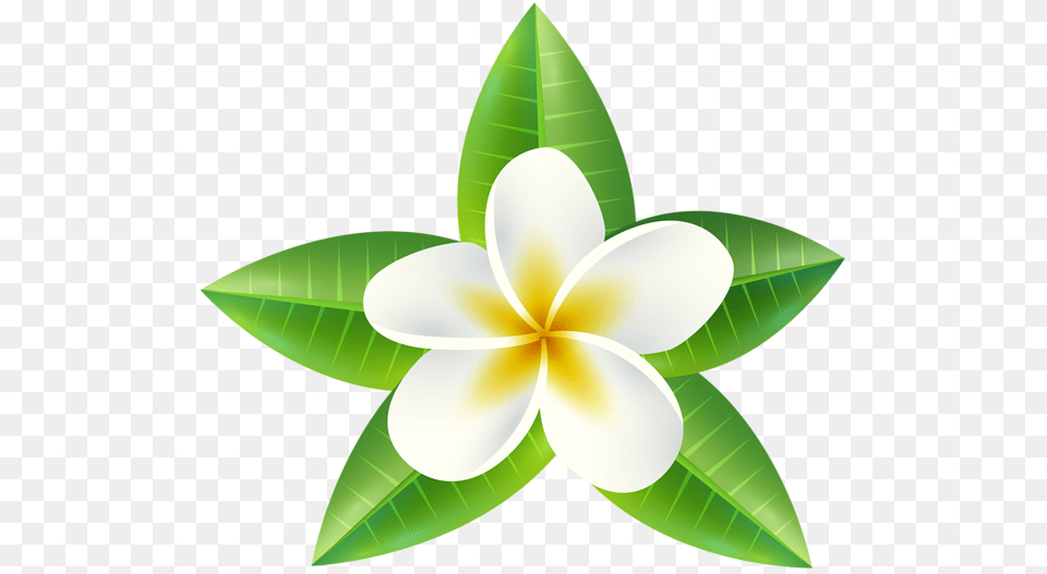 Border Clipart Transparent Tropical Flower Pictures, Leaf, Plant, Appliance, Ceiling Fan Png