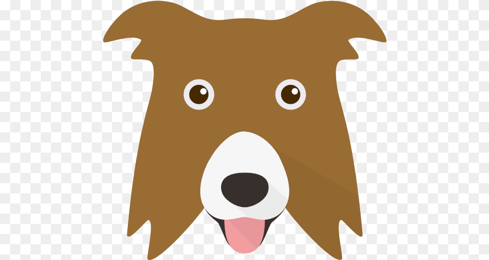 Border Collie, Snout, Animal, Canine, Mammal Free Png Download