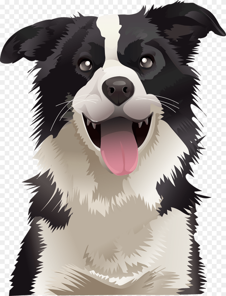 Border Collie Australian Shepherd German Shepherd Australian Border Collie Cute Vector, Animal, Canine, Mammal, Dog Free Png Download