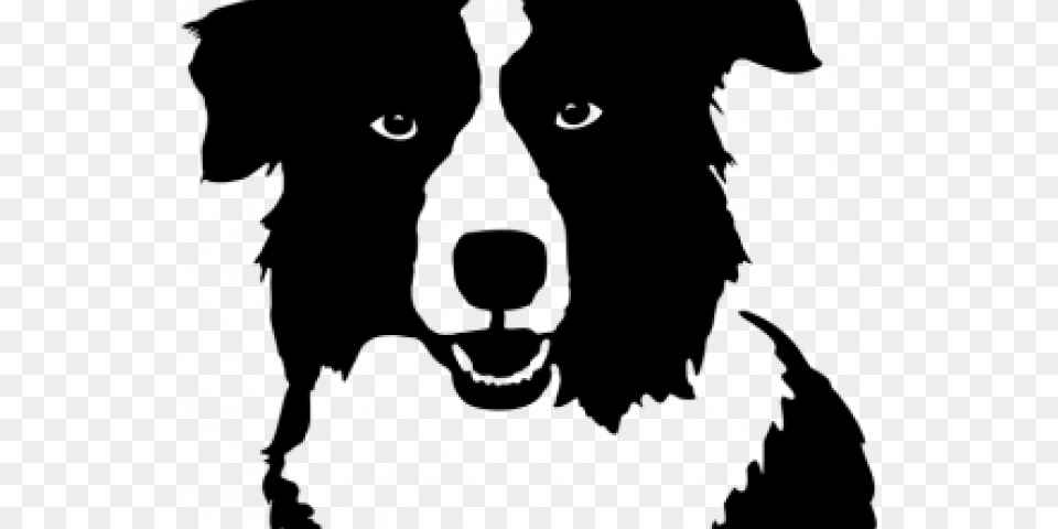 Border Collie Clipart Tribal Border Collie Silhouette Svg, Gray Free Png Download