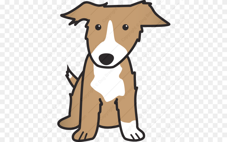 Border Collie Dog Cartoons Online Download Cartoon Dogs Border, Animal, Canine, Mammal, Pet Free Png