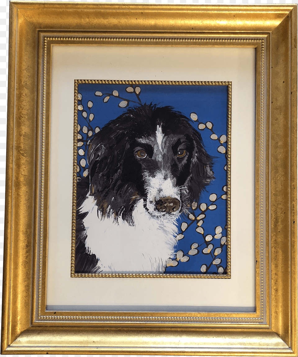 Border Collie Dog Print By Contemporary Artist Judy Henn Border Collie Png Image